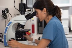 Pet Diagnostics And Lab Testing In Port St. Joe FL